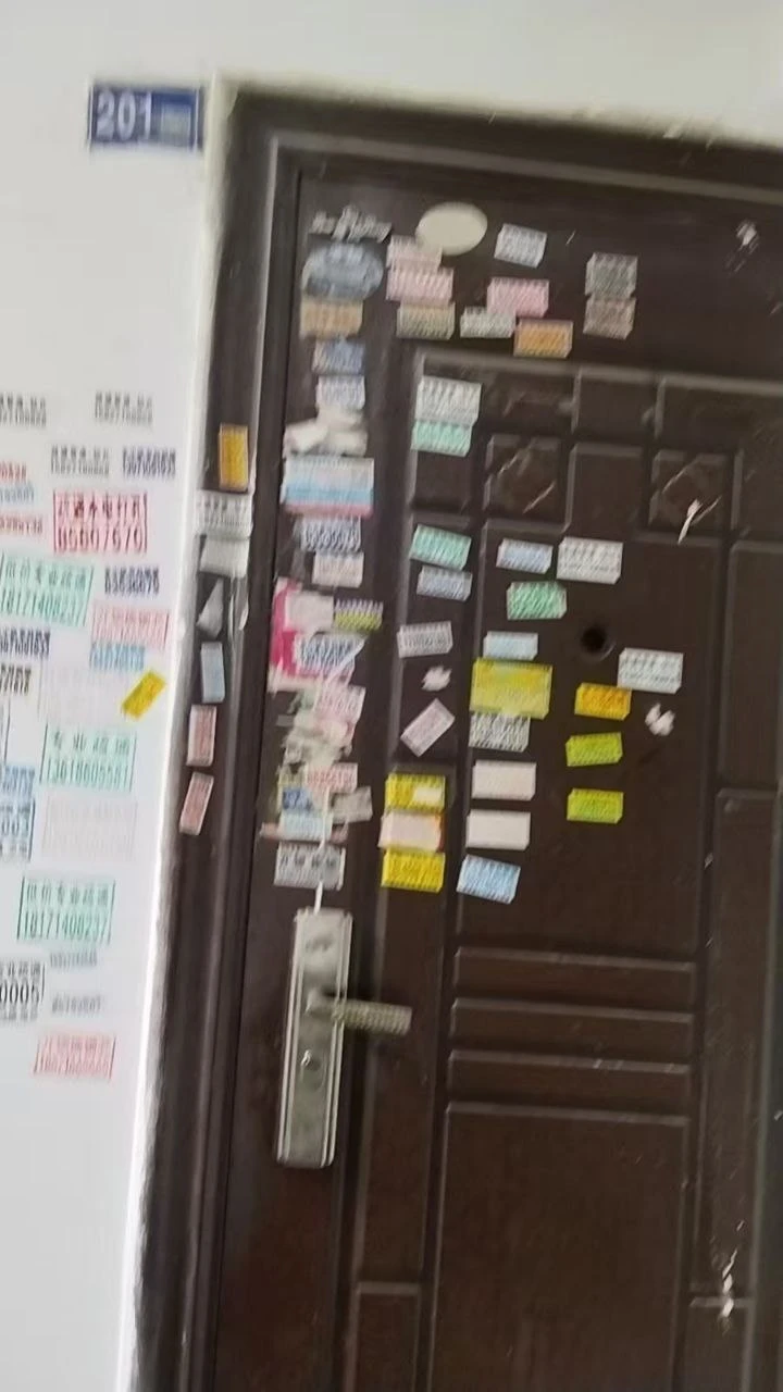 江汉区常青三路附近扫街生活照(2)