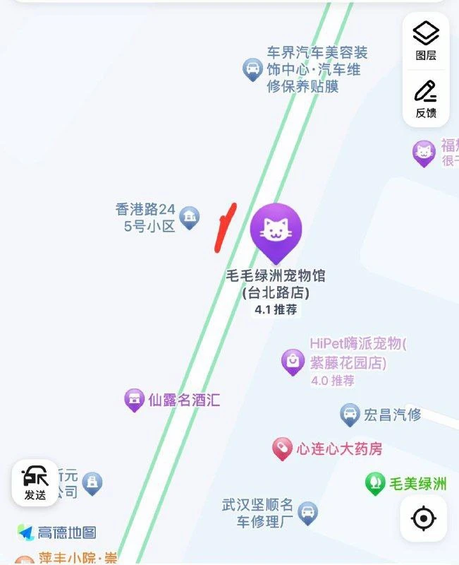 江汉区毛毛绿洲宠物馆附近扫街
